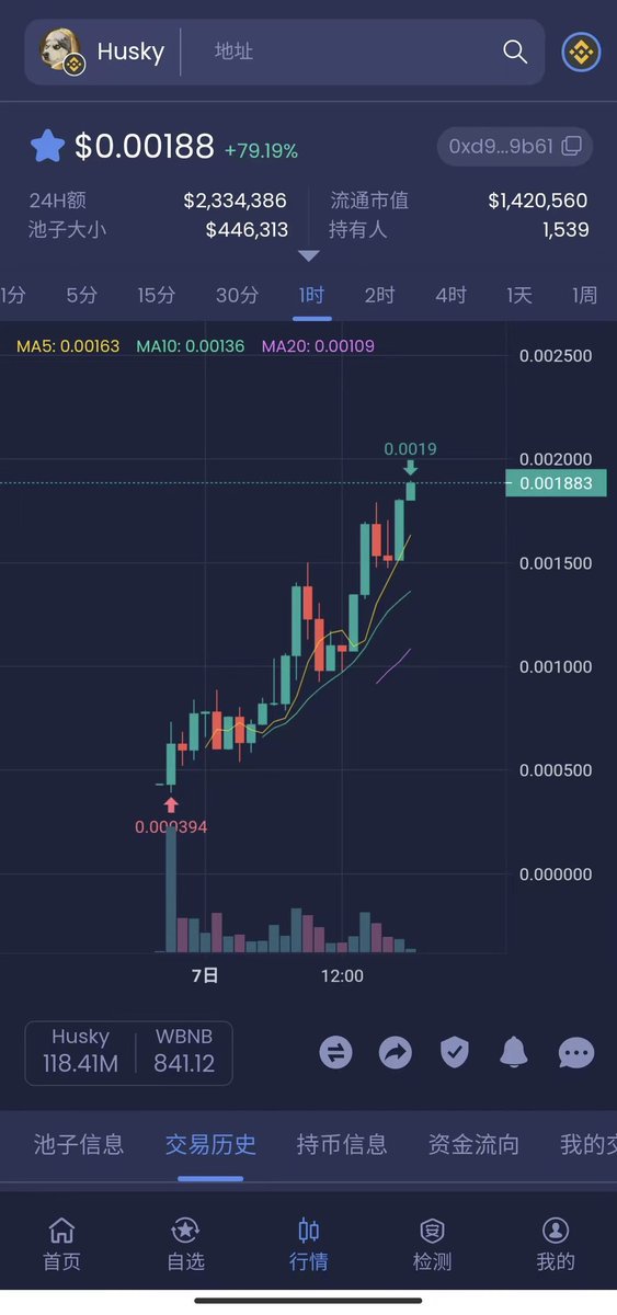 健康的走线。哈士奇变身哮天犬