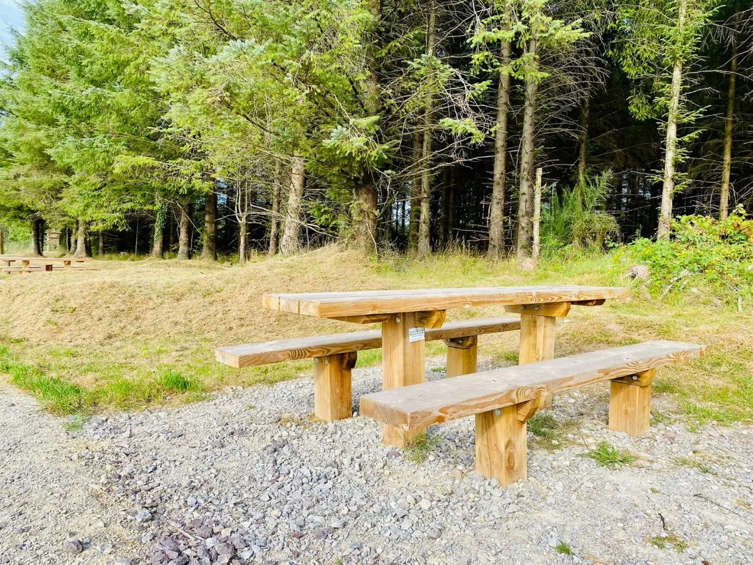 Moanbaun 🍃 is just a 15 mins drive 🚗 from our Hotel and has great views of the surrounding countryside 🌳

With a 3.5km nature trail 👣 with a beautiful selection of wildflowers 🌺🌻 and a picnic site 🥪 this is a perfect daytrip for guests 💚

<a href="/coilltenews/">Coillte</a> <a href="/pure_cork/">Pure Cork</a>