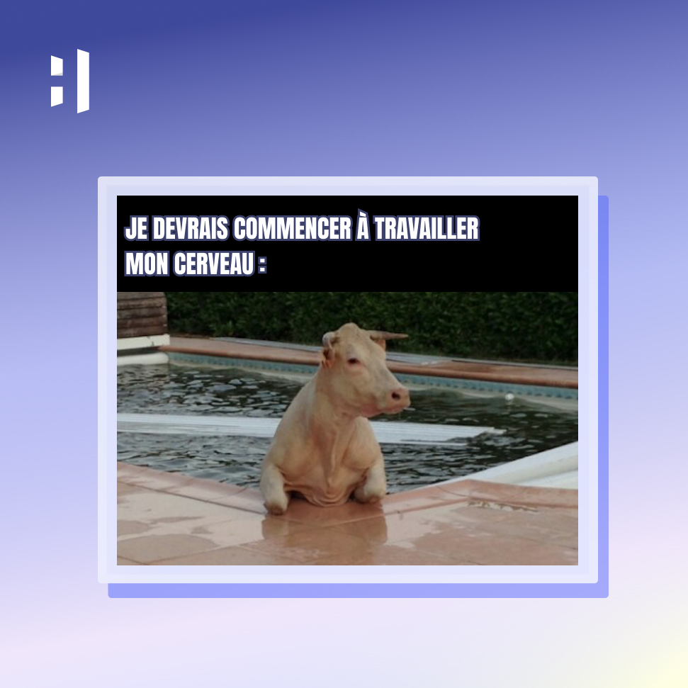 Quand tu souhaites te mettre à #bosser mais que ton #cerveau commence à partir un peu trop loin...