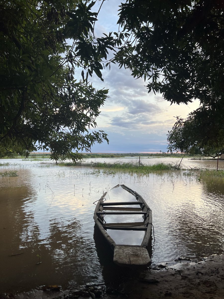 HaouaWankoye's tweet photo. Le fleuve Niger dans toute sa splendeur 🇳🇪 https://t.co/aEOXotzBHm