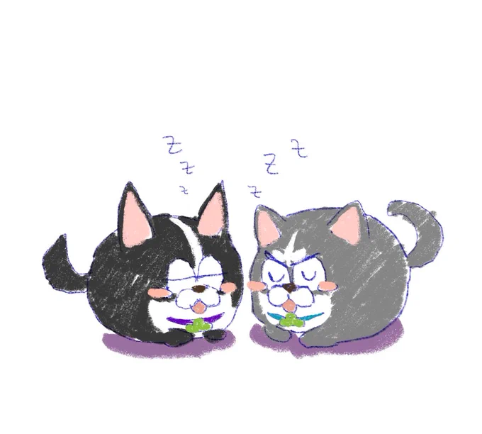 我要把色松带进坟墓 