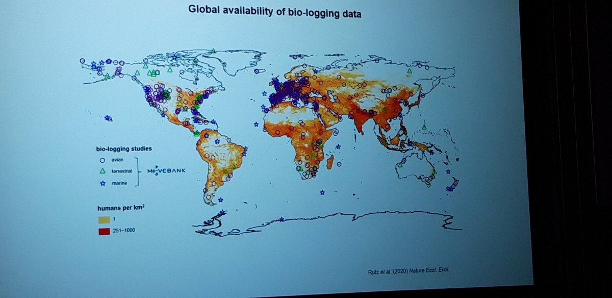 #BESMove2022 We aotly continue with a talk by Christian Rutz on 'The COVID-19 Bio-Logging Initiative:  Studying human– wildlife interactions during the COVID-19 anthropause.'