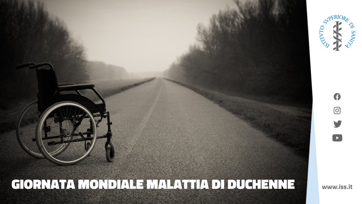 ♂️ La malattia di #Duchenne colpisce individui di sesso maschile (incidenza di 1 neonato su 5.000)

🧬Una condizione di debolezza muscolare - legata a una mutazione genetica - che reca conseguenze anche sulla capacità di respirare e sulla funzionalità cardiaca 
#7dicembre #WDAD