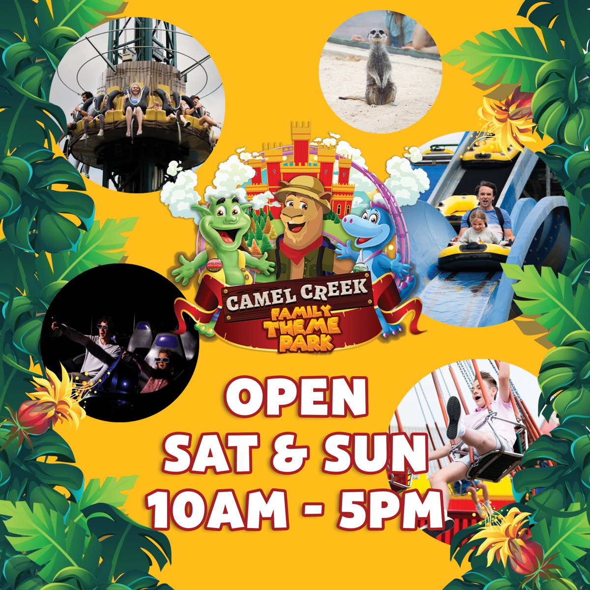 As summer comes to an end, our opening hours change! ☀️
We are now open:
📅 Sat - Sun
🕗 10 - 5 
🎟️ Book online for 10% off: camelcreek.co.uk
