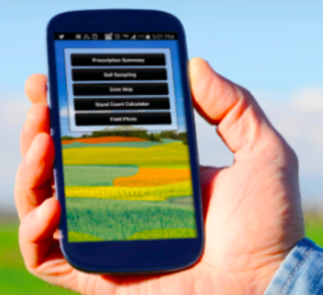 FieldReveal tweet media