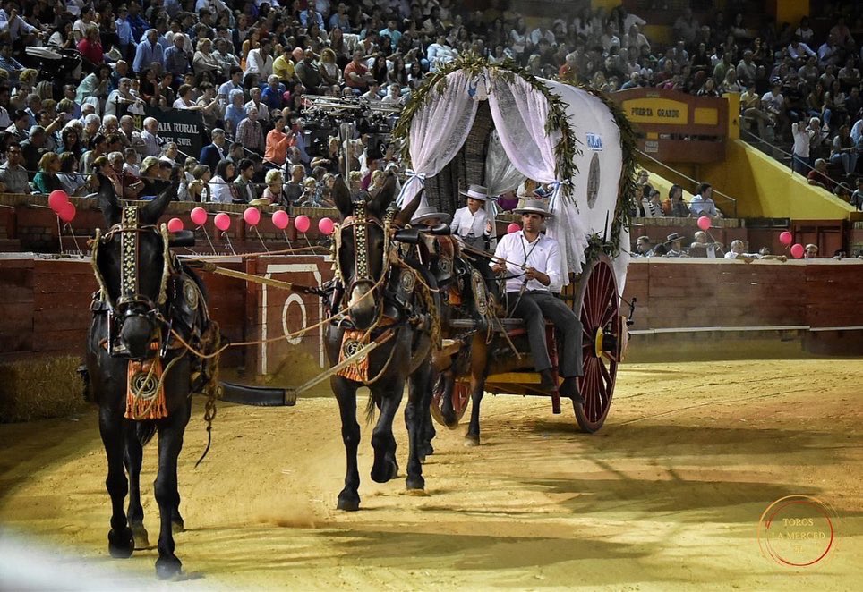 Plaza de Toros de Huelva 'La Merced' tweet media