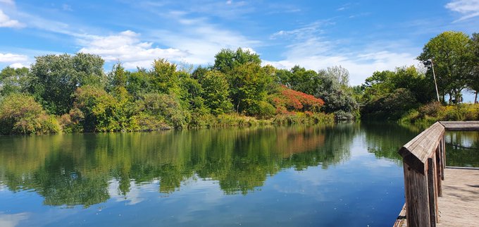 BitcoinKey1's tweet image. Good ☀️Morning ☕️ #Crypto.
🪶🪶🪶🪶🪶🪶🪶🪶🪶🪶🪶🪶🪶🪶🪶
#Bitcoin 
#trading