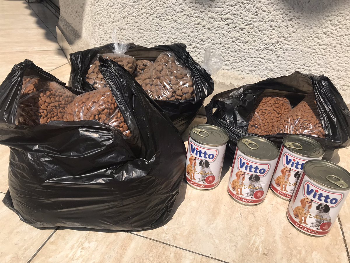 MireilleNeww's tweet image. الحمدلله اليوم قدرت امن اكل ل ٥ كلاب لمدة شهر، الكلاب عند سيدة فقيرة بالاوزاعي، حتى لما تكون ما معها تطعميهم ما بتتخلى عنهم❤️❤️ ملاحظة: مشاركة التبرع هي للتوعية والتحفيز على مساعدة الكلاب 🙏 اللي حابب كمان يساعدهم يحكيني 👍 #dogsoftwitter #lebanondogs