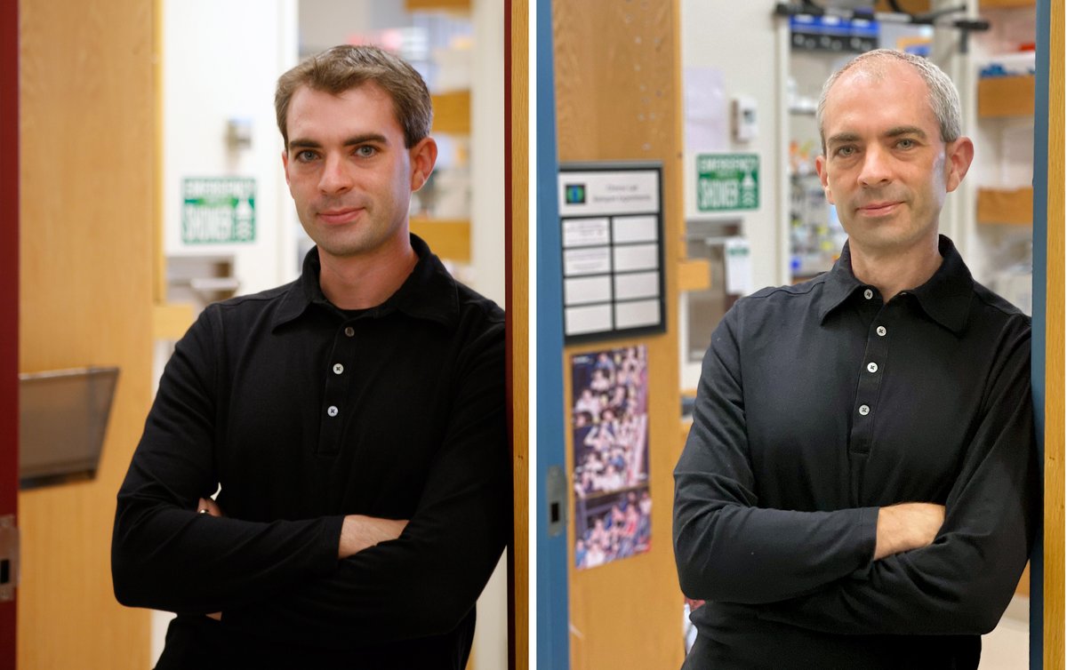 Iain Cheeseman tweet media