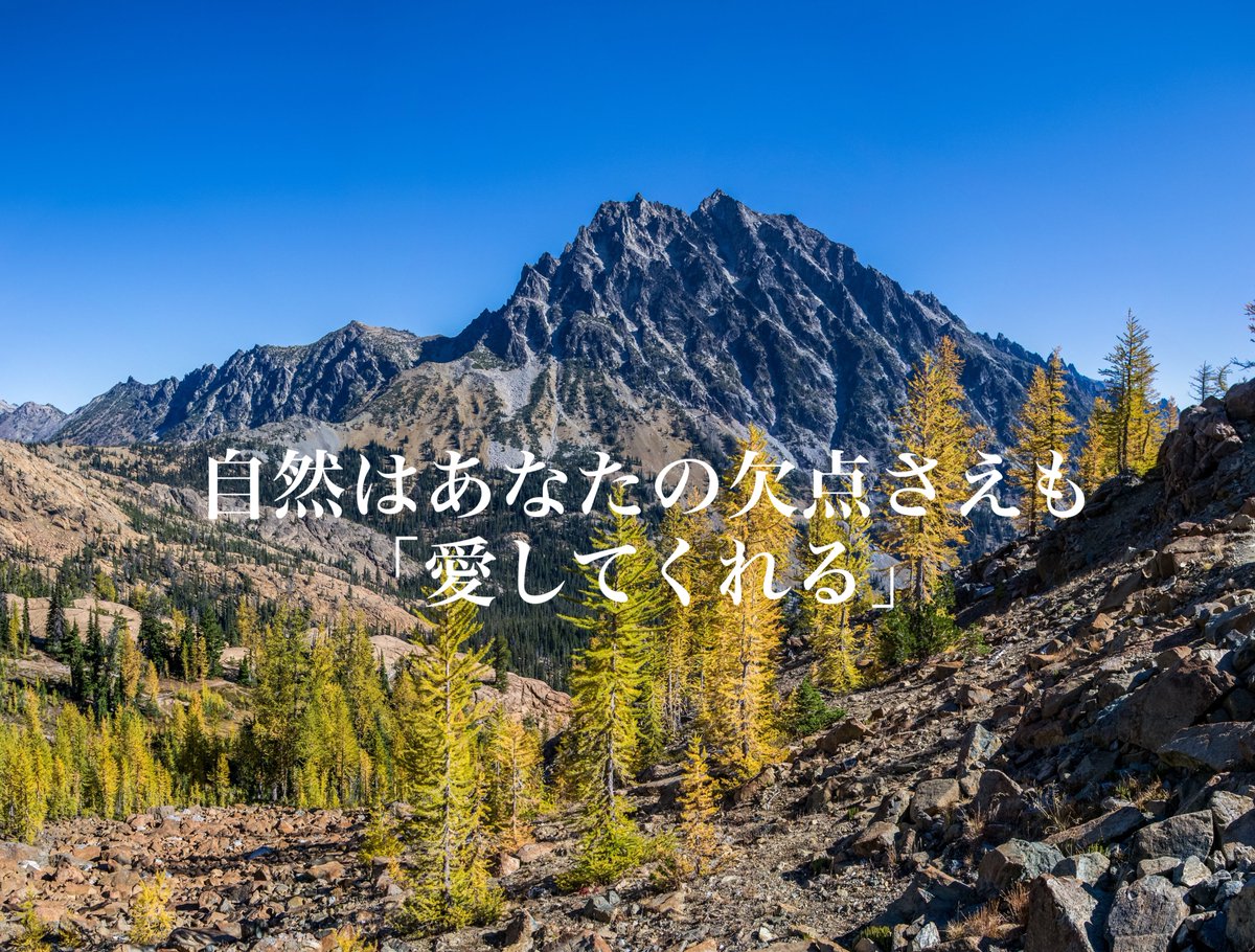 borntobowe's tweet photo. おはようございます🌞

全ての季節を生きる🌍
「春夏秋冬」過ごし方や生き方を自然に委ねると
環境に合わせた最高の過ごし方を考えられます♻️

きっと、次の季節の準備がもっと楽しみになる🦜

素敵な毎日を持続しよう❣️

#おは戦40911sn���️
#写真撮影
#風景写真 https://t.co/4RLuNt7OJI