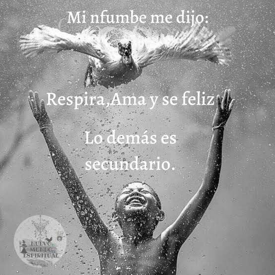 Fausto Fernandez tweet media