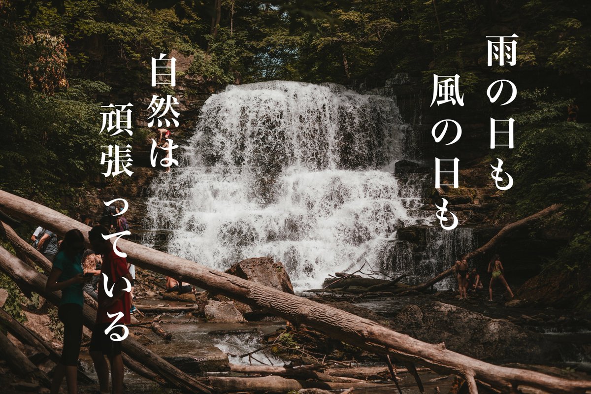 borntobowe's tweet photo. おはようございます🌞

鏡に映った姿は輝いてますか？📣
微笑んで鏡に向かってみてください🌎🦜

きっと、素敵な姿がある❗️
良い1日を❣️

#おは戦40915sm🌱
#自然
#風景写真
#応援 https://t.co/jvmyrPGl0U