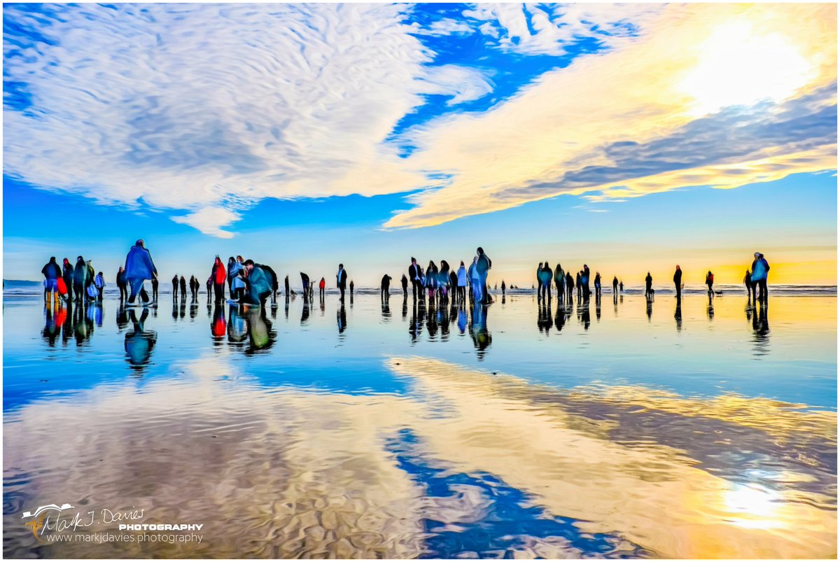 Mark J Davies Photography tweet media