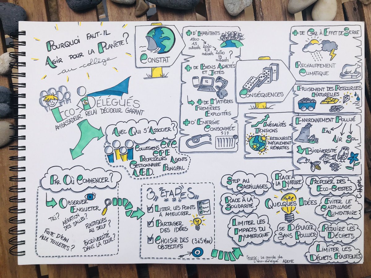 LGrenouilles's tweet photo. Une sketchnote pour présenter les objectifs et les missions des éco-délégués inspirée du guide de l’@ademe https://t.co/nAVxHRErx3