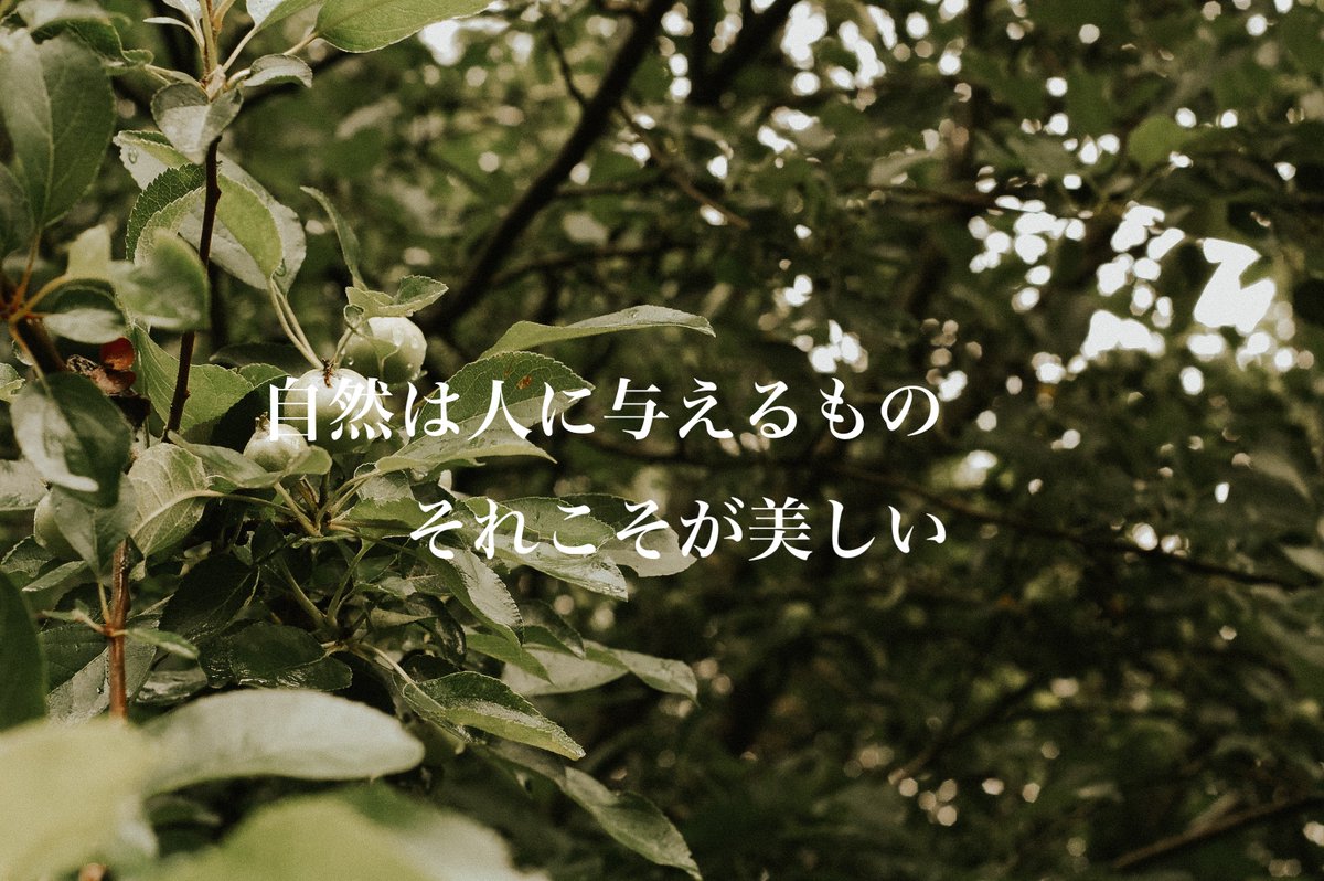 borntobowe's tweet photo. おはようございます🌞

さっ！！
今日も自然と自分自身の深みが増す😁😁

深呼吸して🌈

いってらっしゃい❣️

#おは戦40919sg🎉
#自然
#風景写真
#応援 https://t.co/8vD7F5YY8E