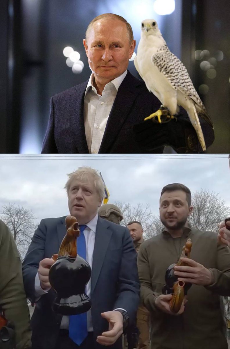 Петухи и сокол))))