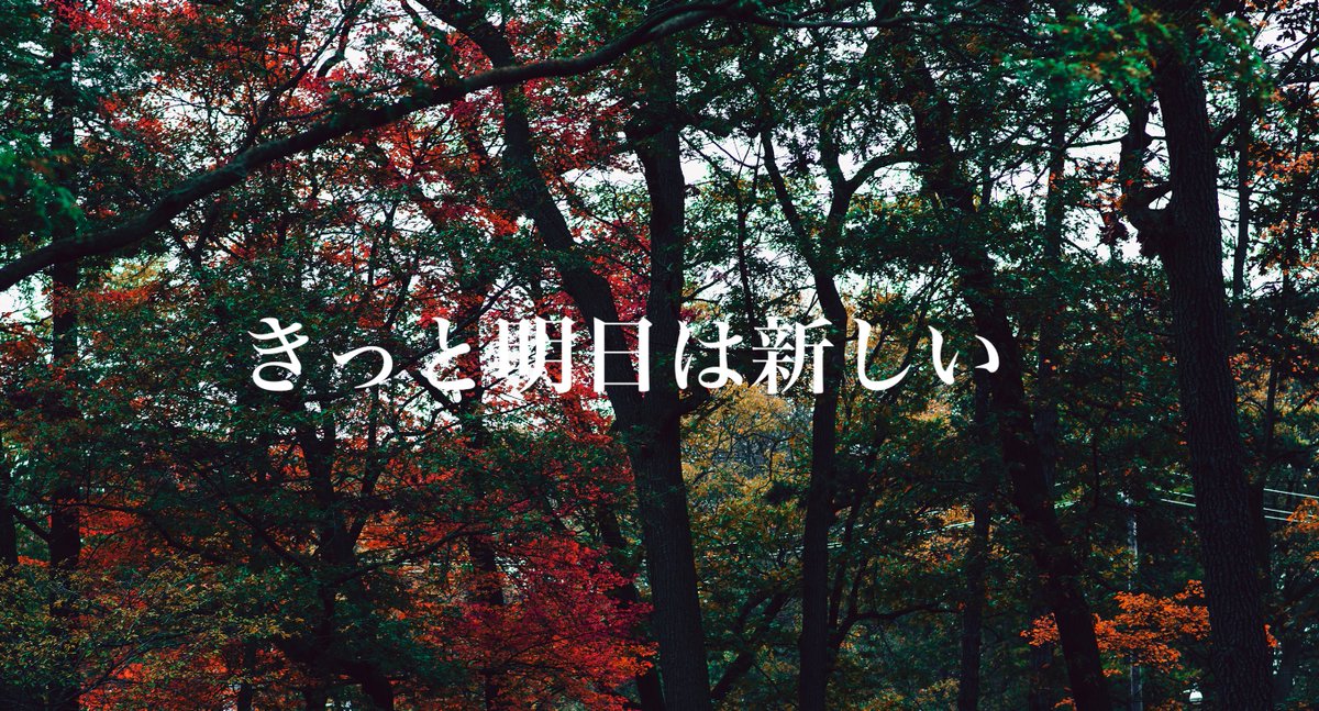 borntobowe's tweet photo. おはようございます🌞

一言で人を笑顔にする言葉を贈りたいですね🌈
「まずは笑顔でおはよう」❣️

きっと、ありのままの姿が一番いい🦜
行ってらっしゃい！

#おは戦40921ss🎉
#自然
#風景写真
#応援 https://t.co/iMBiGxgT6w