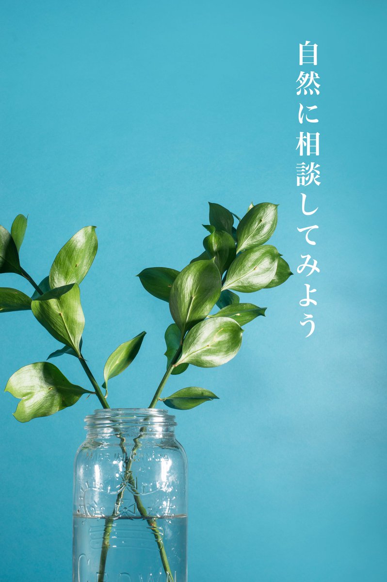 borntobowe's tweet photo. おはようございます🌞

今日も新しい出逢いがあります❗️
毎日が新しい世界のはじまり♻️

きっと、考え方次第でハッピーになれる🦜
行ってらっしゃい！

#おは戦40925sn🎉
#自然
#風景写真
#応援 https://t.co/td8dRlpRD8