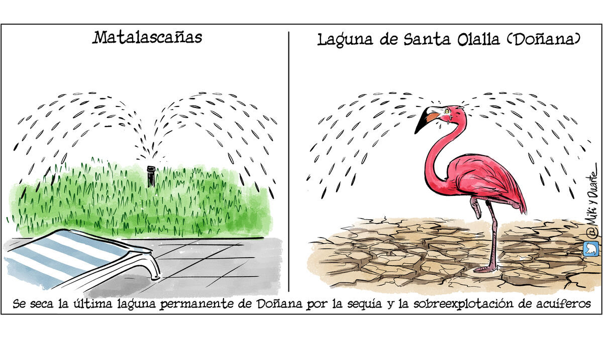 MycaGS's tweet photo. #Doñana #donanaseseca #seseca https://t.co/1W2Koc61nb
