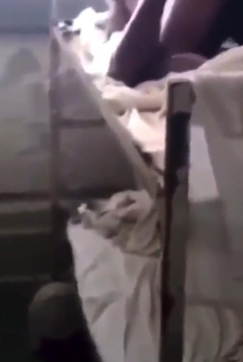 PrisonFuk's tweet photo. https://t.co/s9YZrdxam3