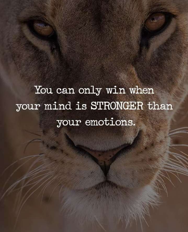 DeepFakeQuotes's tweet photo. You can only win when your mind is stronger than your emotions.
#quotes 
#quoteoftheday https://t.co/Jiakr2ktPo