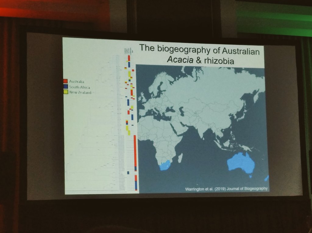 BAdriaanGrobler's tweet photo. Despite #Loadshedding, Day 3 of #fynbosMedecos2022 is underway:

@JacoLeRoux01 tells us about the effects of plant invasions on soil microbes during his keynote address. https://t.co/ge6RdnEV7b