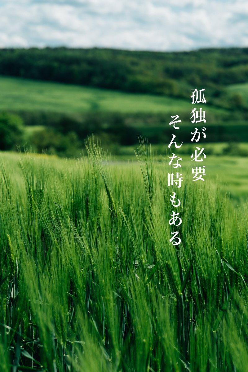 borntobowe's tweet photo. おはようございます🌞

肩に「力」入りすぎてない？🥺
そのままで大丈夫🌱

きっと、納得のいく、良い1日になる❣️

#おは戦40924sd🔥
#自然
#風景写真
#応援 https://t.co/kAEtLRmr6I