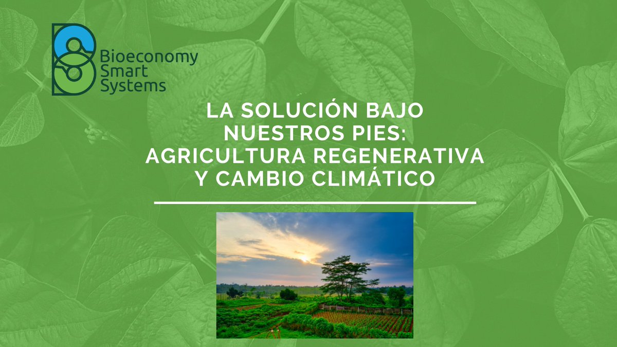 BioSmartSystems's tweet photo. ¿No sería ideal que desaparecieran las emisiones de carbono de inmediato? ¿Qué haríamos con el carbono en la atmósfera? Este debería regresar al suelo. Link: https://t.co/ahJGOa6drA
¡Da Me gusta, comenta, comparte y síguenos! #bioeconomía #agriculturaregenerativa #ceroemisiones https://t.co/cP0wn5sMnS