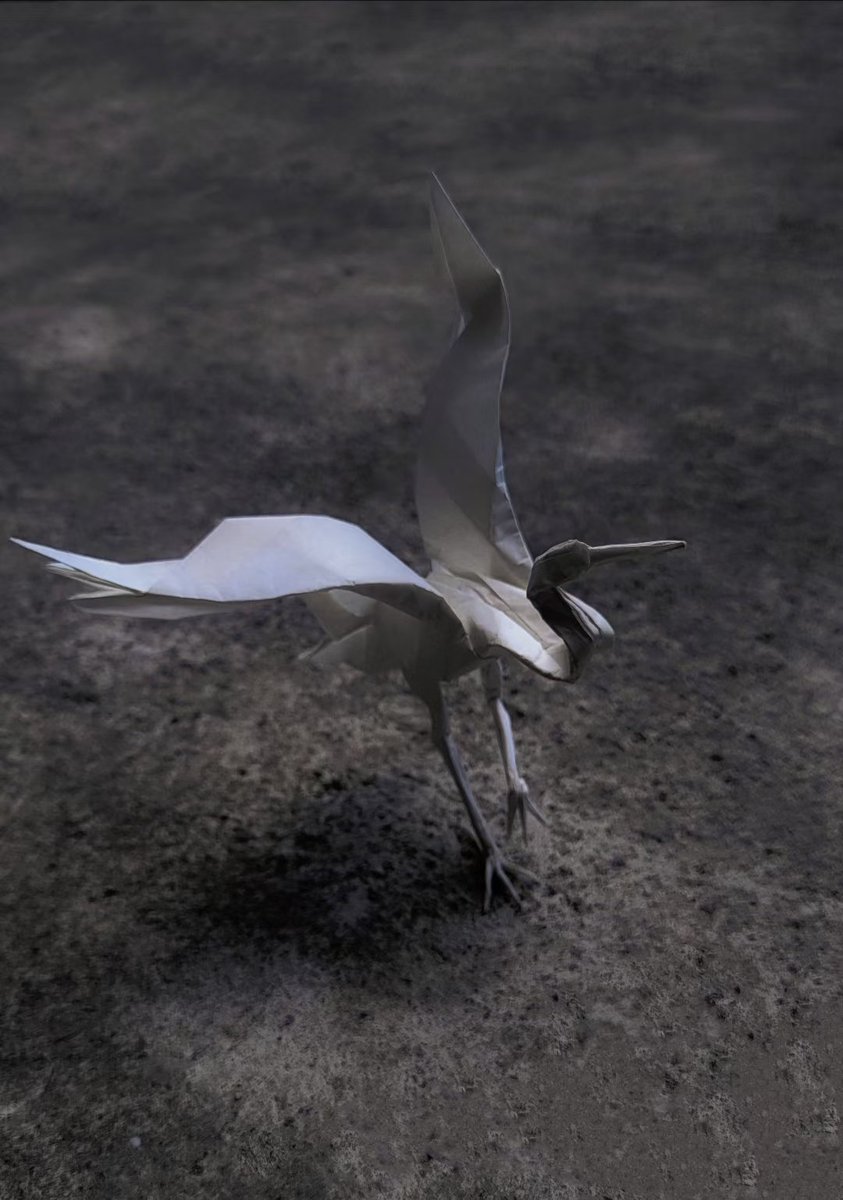 折纸鹤
罗曼迪亚兹