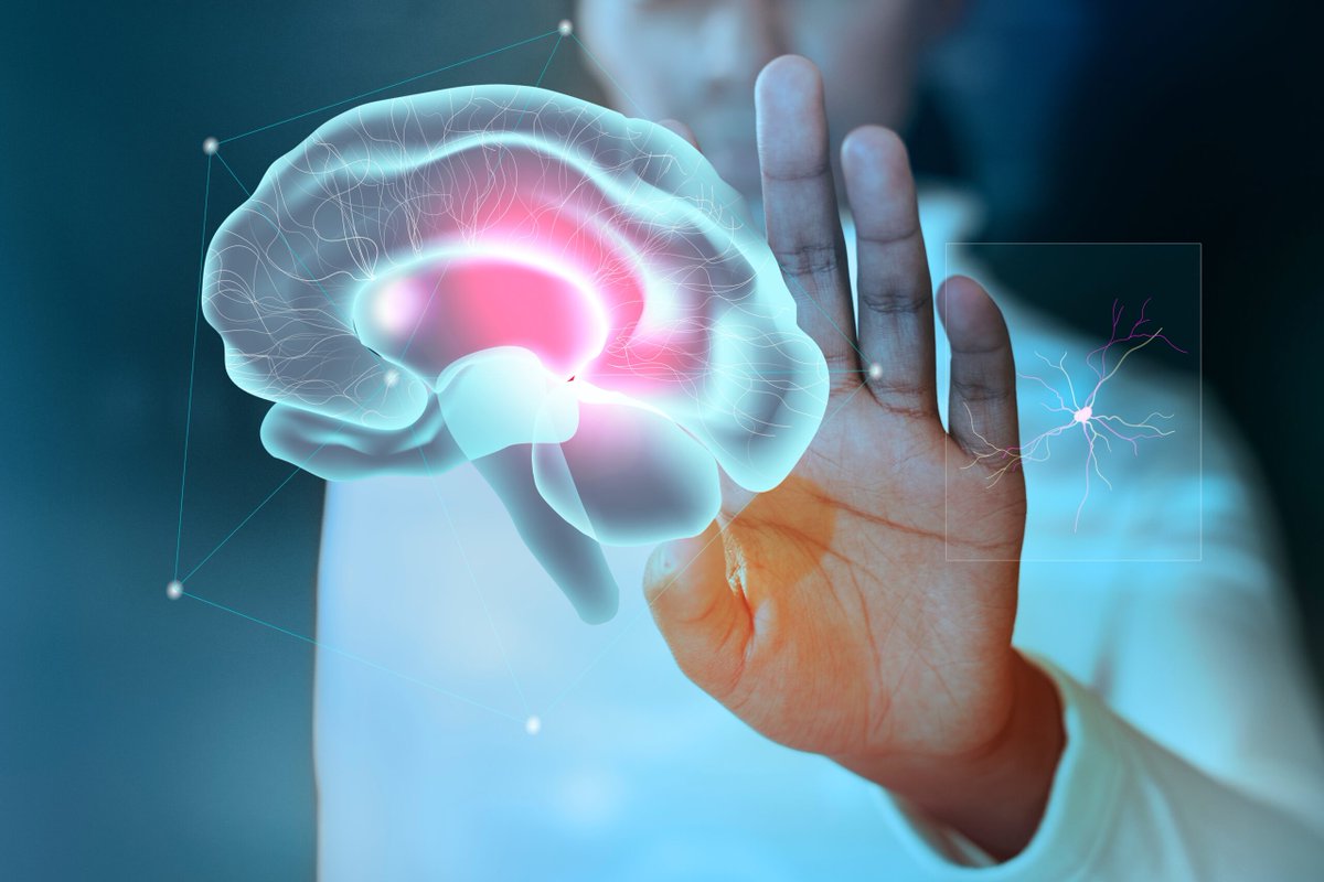 Have you ever wondered, where psychology meets neuroscience in the study of human nature?

Read our blog on the differences and similarities of the two sciences: omnipemf.com/where-does-psy… 

#neuroscience #psychology #wellness