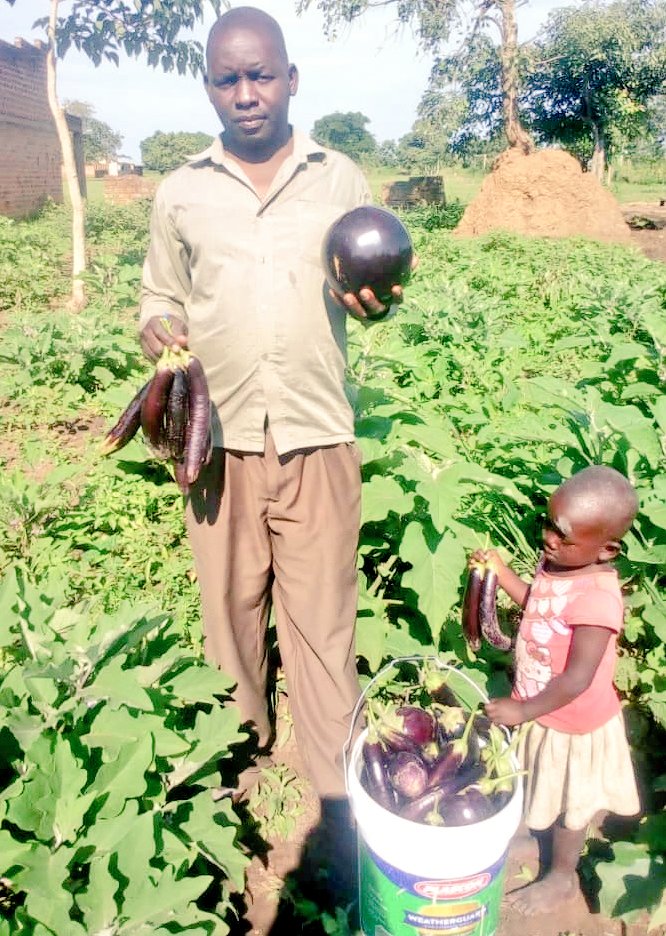 SAA Uganda on Twitter "A SAA_Uganda supported farmer in a climate