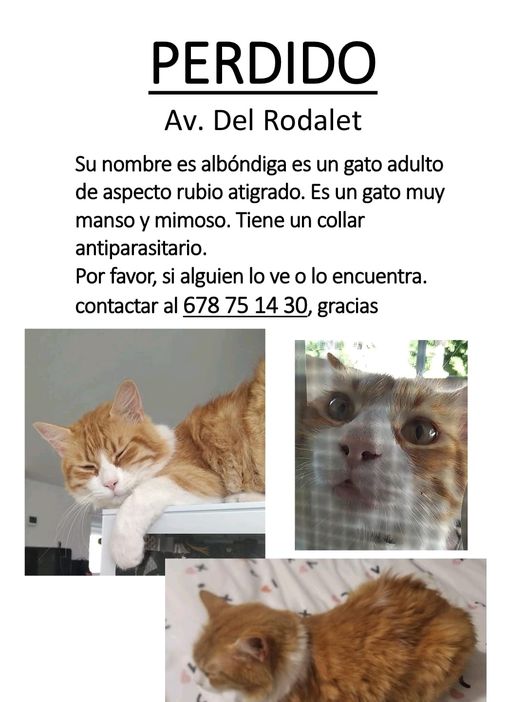 Lo Morant (Alicante )-españa