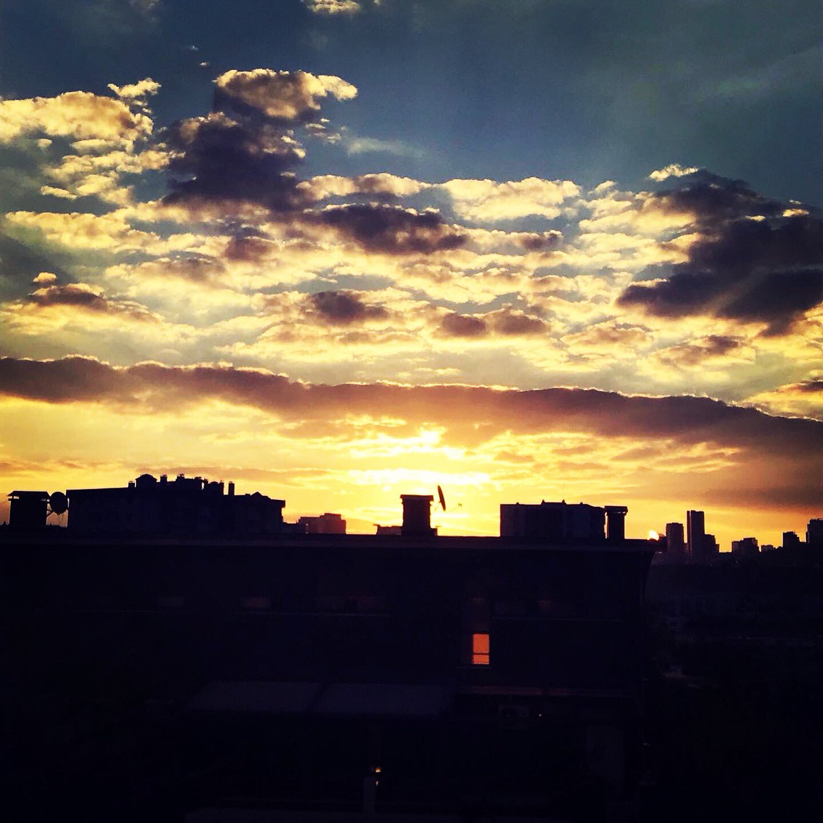 Güvercinler güneşten bir sessizliği biriktiriyor #cemalsüreya