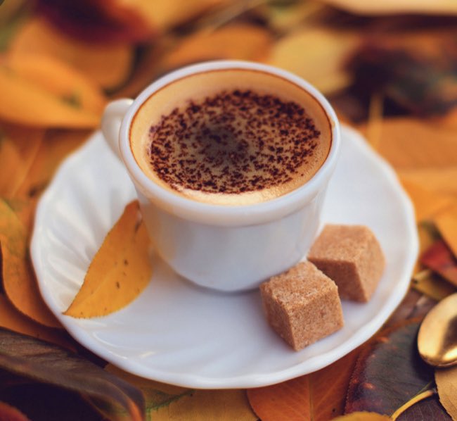 FrankStreetCof1's tweet photo. 🍂Autumn Menu Coming Soon! 🍂
#loveautumn #pumpkinspice #gingetbread #chaispice #chai #hotchocolate https://t.co/9C5YMo5646