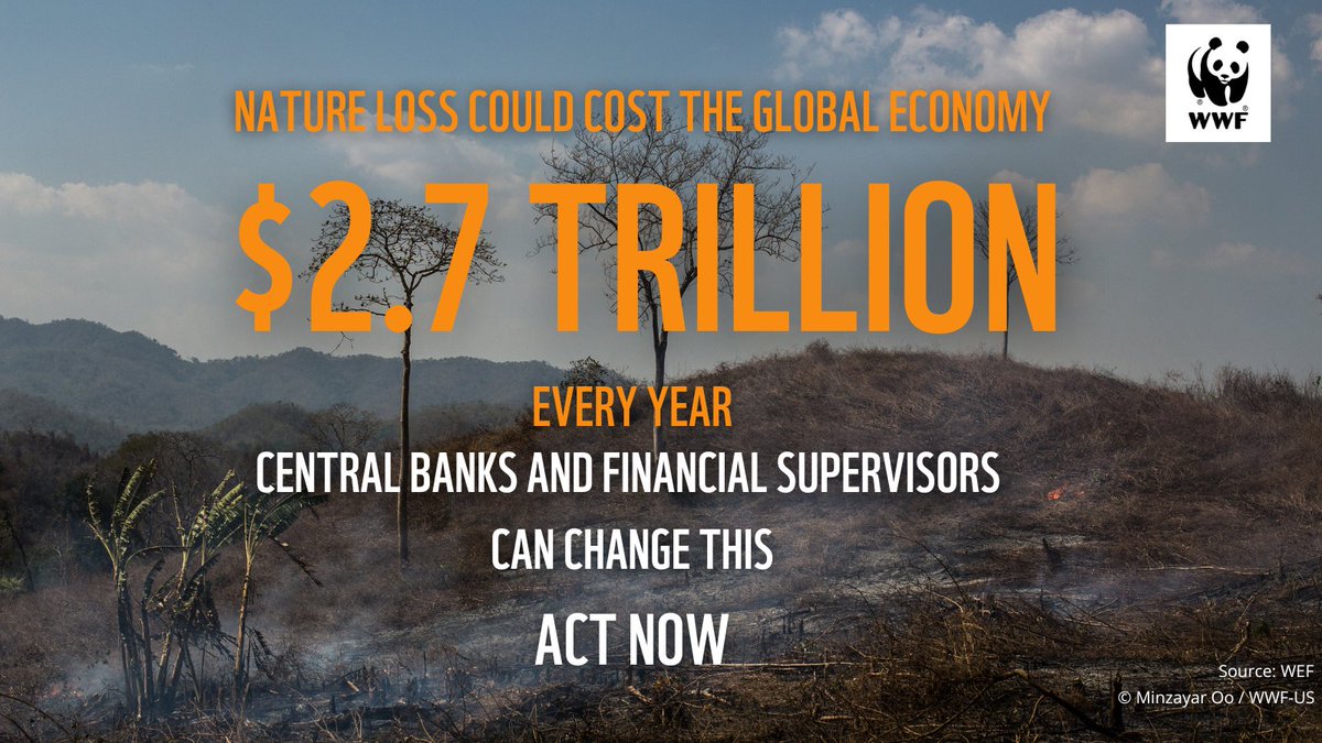 Today we’ve launched @WWF #GreenFinance call to action for central banks and financial supervisors 📢 Here’s why they need to take urgent action on #biodiversityloss and #climatechange now 🧵@WWF_Media @NGFS_