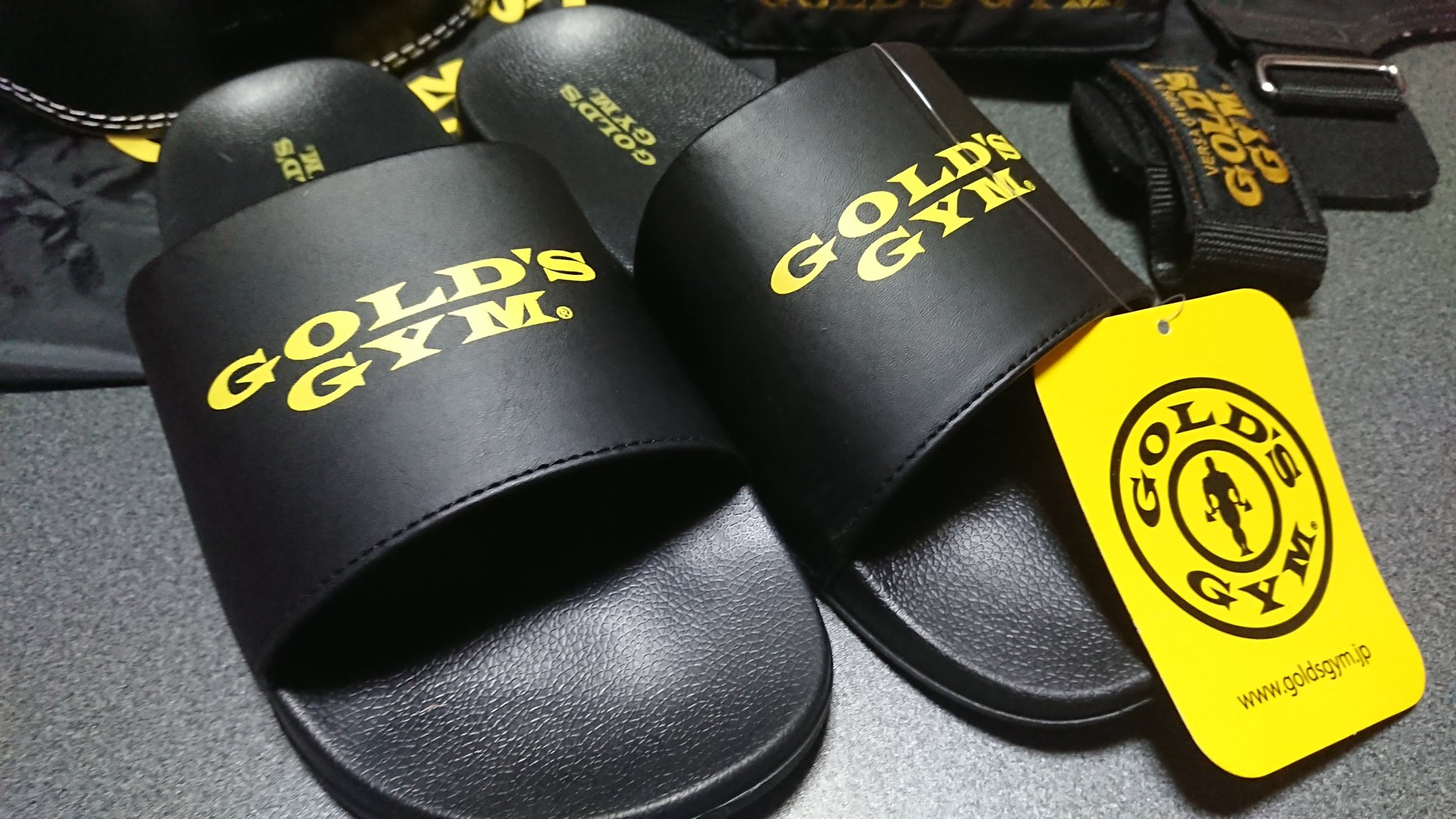 大人女性の Gold's Gym ゴールドジム 限定リュック しまむらコラボ ilam.org