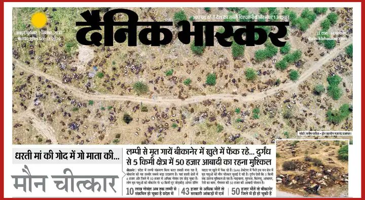 Csbhati_02's tweet photo. @TheUpenYadav @RajCMO कौन सुने गौ माता की पुकार ? https://t.co/kKfHwpDfhD