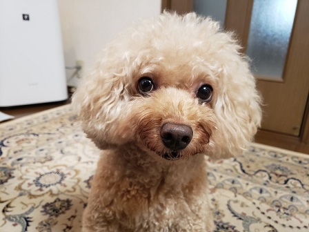 Mka5 Bicpqcpwm Mka5 Bicpqcpwm