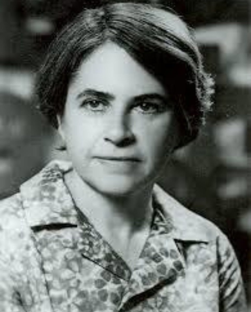 Letnapark's tweet photo. Nicht, weil es nicht anders geht will ich verändern helfen, weil es anders sein soll, tue ich es. 16.11.1937
Jenny #Aloni-#Rosenbaum *7.9.1917, 1939 Palästina – 30.9.1993
Ich schäme mich, ein Mensch zu sein, wenn Menschen fähig sind, solches zu tun. Und ich fürchte mich.- 1960 https://t.co/rnjrubAkRx