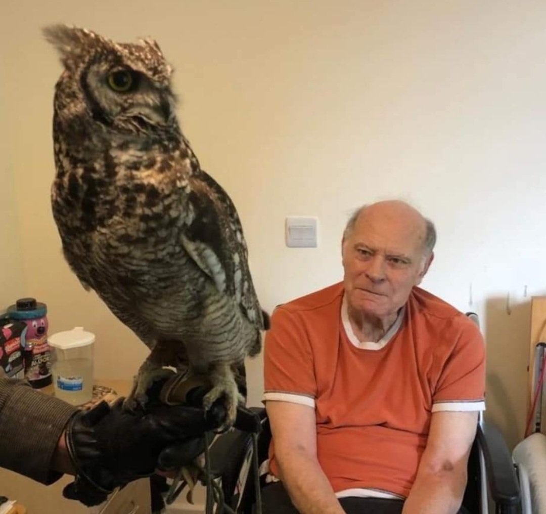 Our residents enjoyed the visit of the Birds of Prey! Ian commented that I never dreamt I could see some of these birds so close!