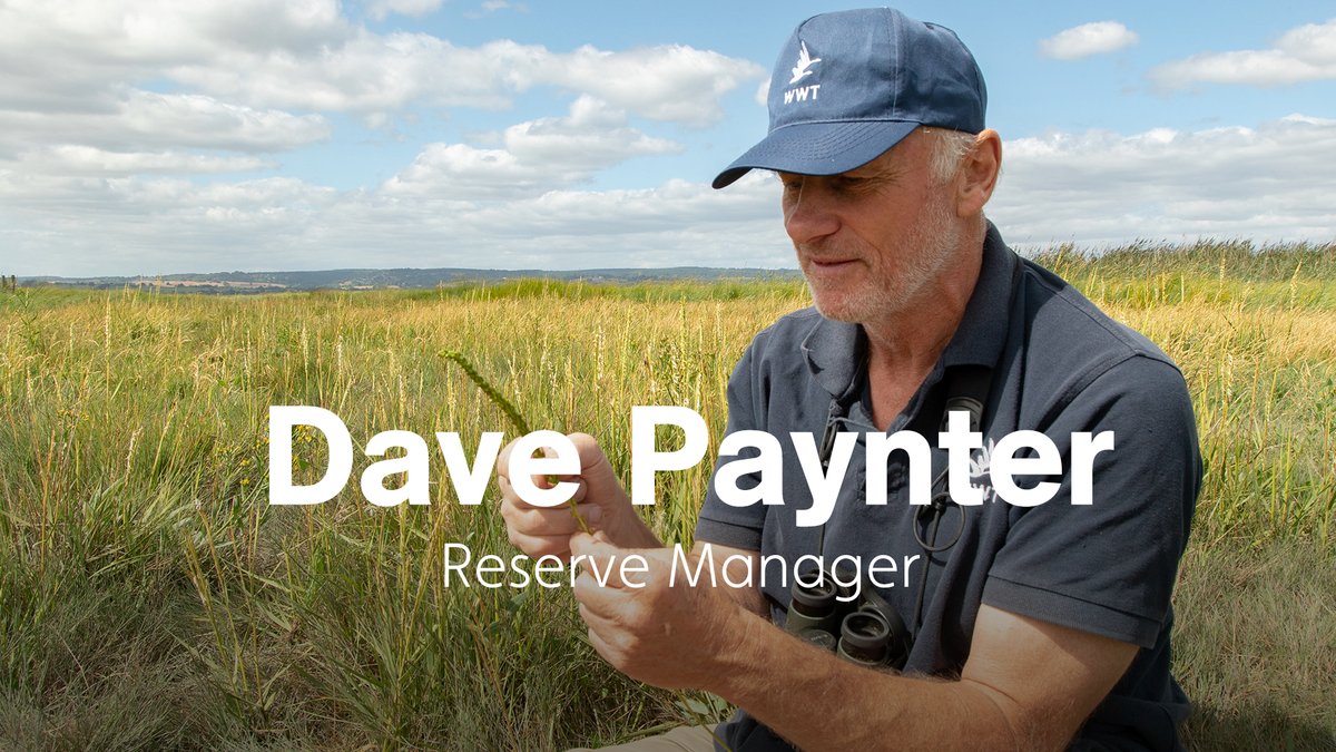 #Wildwatch | Salt marsh Special, part 1 🌿

Tune in to the first segment of our latest Wildwatch and learn all about amazing salt marshes! Watch out for part 2 later in the month. ✨

Watch here: ow.ly/bUFX50KBgVR

<a href="/slimbridge_wild/">Slimbridge Sightings</a> <a href="/WWTworldwide/">WWT</a>