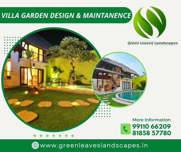 Greenleaveslan1's tweet photo. Make your garden more beautiful with GREEN LEAVES LANDSCAPES services
#garding #naturelove #indoordecorations #gardendecorations #plants #flowers #greenery #naturedecoration #smallplants #gardenservices https://t.co/KjzsK0uYTU