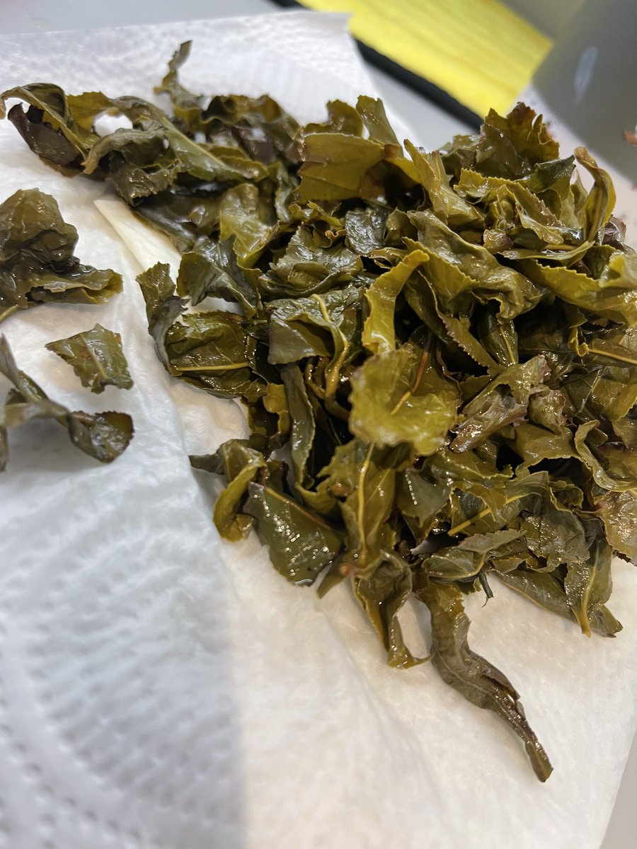 Catherine0615_'s tweet photo. Don’t think that’s how you make tea for a bottle 👀 

Ps: I dug those out of my bottle 😂

#tealeaves #handmadetea #IRL https://t.co/sYpnXsEz3T