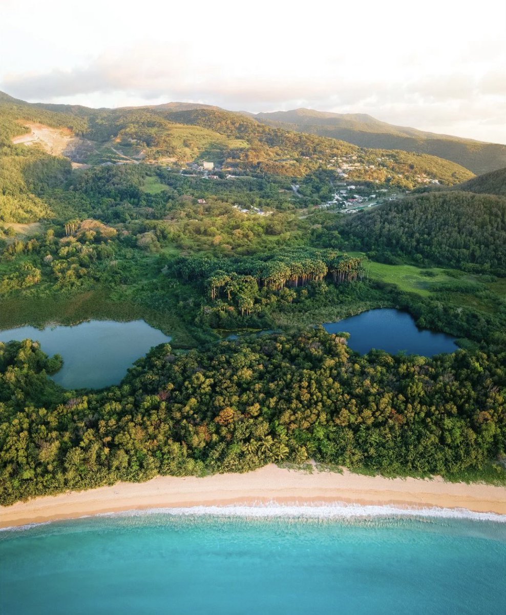 LMPositif's tweet photo. 🇫🇷 La plage de la Grande Anse en Guadeloupe, magnifique !
☀️ Très bonne journée à tous ! 🍀 💛

📸 Sdecoret https://t.co/7RmV3KYcqL