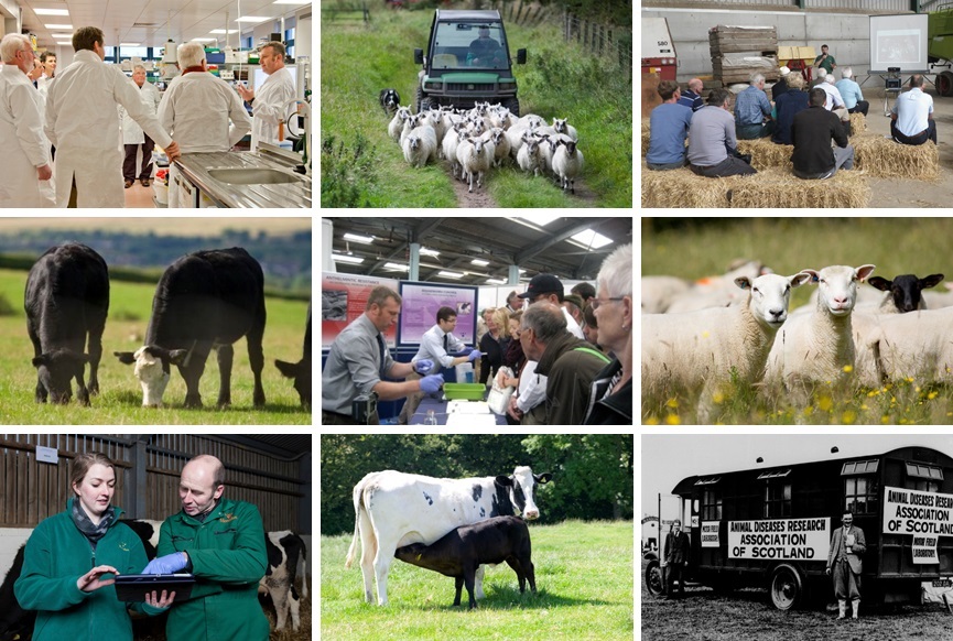 *** PhD opportunity alert***
"Living with parasites: exploring tolerance of infection to reduce the impact of gastrointestinal nematodes on sheep"
4 years funded by <a href="/EastbioDTP/">EastBio DTP</a> &amp; <a href="/SGRESAS/">RESAS</a>; based at <a href="/MoredunComms/">The Moredun Foundation</a>
Details here: moredun.org.uk/careers/phd-st… 
Please share!