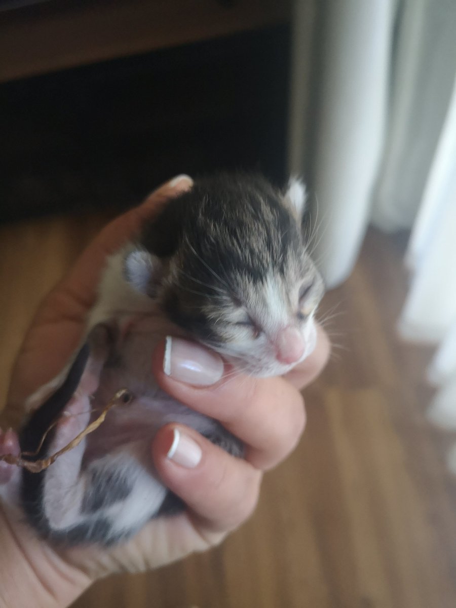 Evde şenlik vaaarrr... 🤗
3 avuç mutluluğum var benim!!!