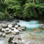 ツイートに含まれる画像