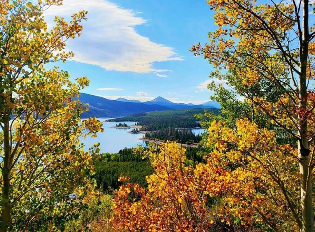 skifreshtracks's tweet photo. Fall colors along the #dillonreservoir!
*
#friscocolorado #friscoco #exploresummit #summitcounty #coloradophotography #coloradolive #coloradolife #mountaintown #rockymountains https://t.co/H110oGIO1X