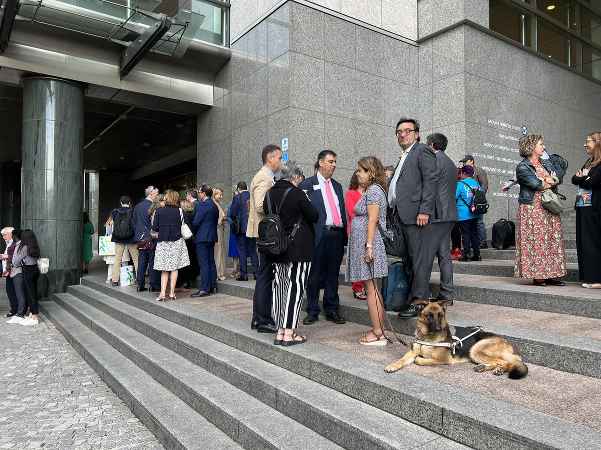 Ya estamos a las puertas del #ParlamentoEuropeo <a href="/Europarl_ES/">Parlamento Europeo en España</a> <a href="/EUparliament/">European Parliament</a> los del #GrupoSocialONCE para seguir hablando de #discapacidad #inclusión #derechos 
Y vamos con buen guía #Kelly #perroguia 🦮🦮