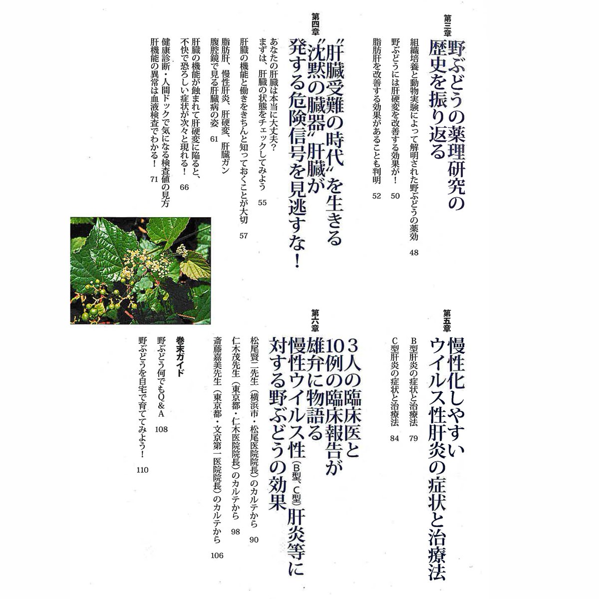  野ブドウ茶　200g  発送日に新鮮袋詰め❗